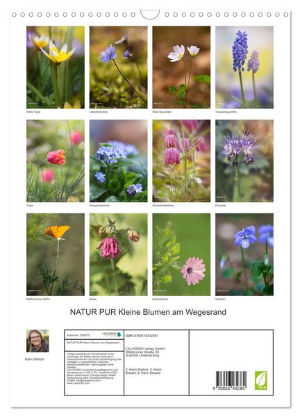 Produktbild: NATUR PUR Kleine Blumen am Wegesrand (Wandkalender 2026 DIN A3 hoch), CALVENDO Monatskalender