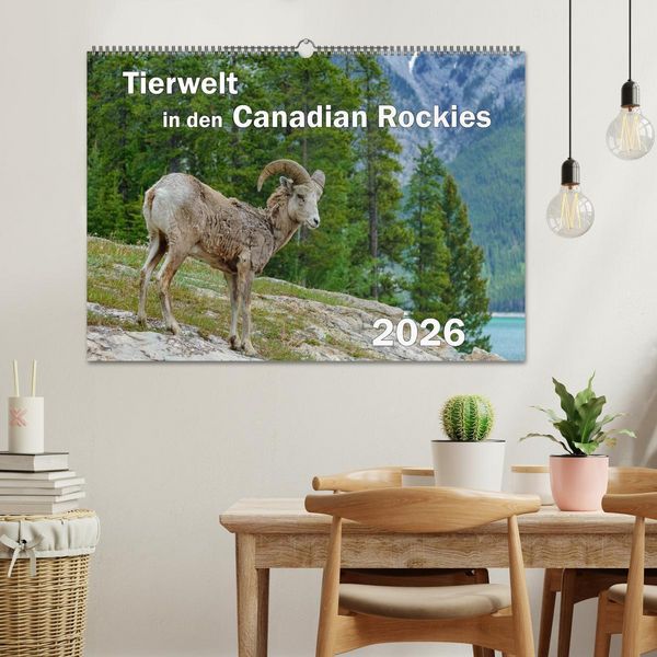 Produktbild: Tierwelt in den Canadian Rockies (Wandkalender 2026 DIN A2 quer), CALVENDO Monatskalender