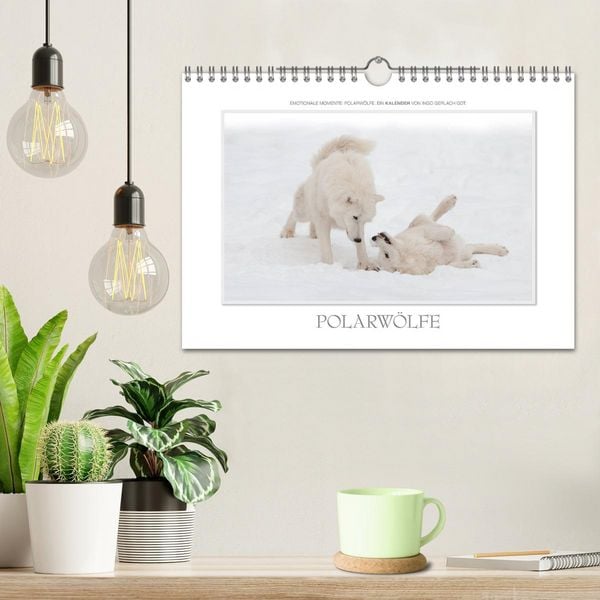 Produktbild: Emotionale Momente: Polarw&ouml;lfe. / CH-Version (Wandkalender 2026 DIN A4 quer), CALVENDO Monatskalender