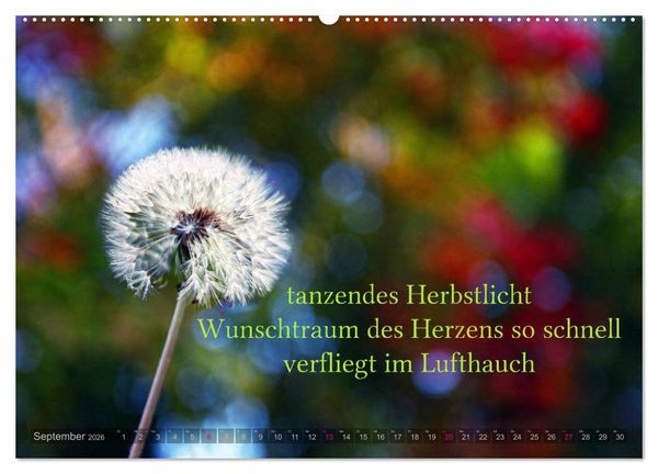 Produktbild: Haiku - Gedichte in 17 Silben (Wandkalender 2026 DIN A2 quer), CALVENDO Monatskalender