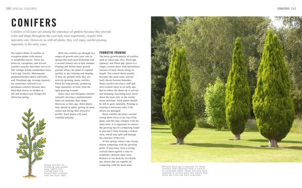 Produktbild: Pruning Simplified