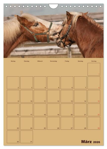 Produktbild: Pferde Gute Freunde (Wandkalender 2026 DIN A4 hoch), CALVENDO Monatskalender