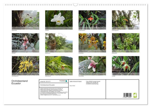 Produktbild: Orchideenland Ecuador (Wandkalender 2026 DIN A2 quer), CALVENDO Monatskalender