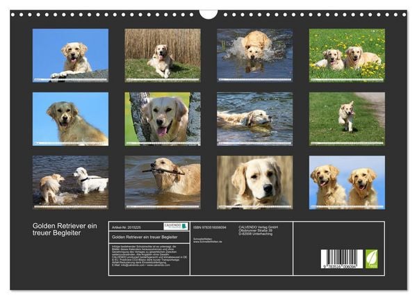 Produktbild: Golden Retriever ein treuer Begleiter (Wandkalender 2026 DIN A3 quer), CALVENDO Monatskalender