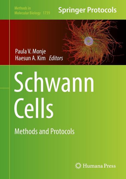 Produktbild: Schwann Cells