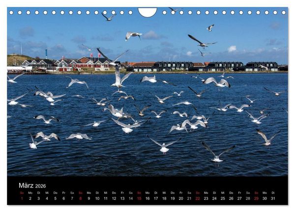 Produktbild: D&auml;nemark - Umgebung von Hvide Sande (Wandkalender 2026 DIN A4 quer), CALVENDO Monatskalender