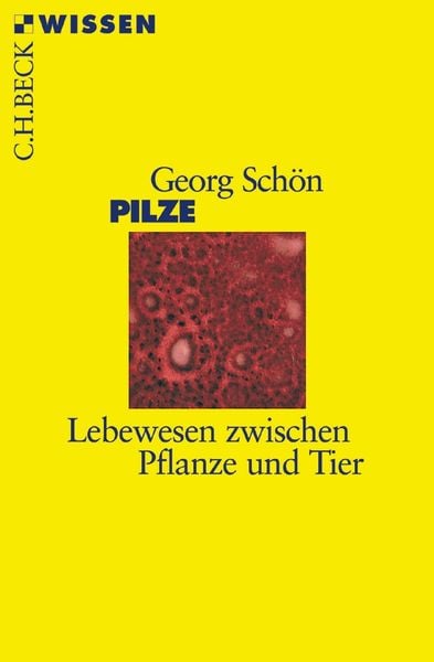 Produktbild: Pilze