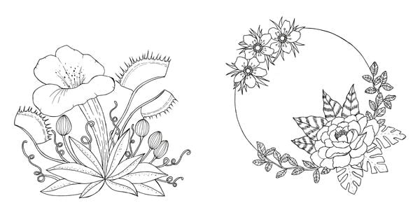 Produktbild: Tropical Flowers &ndash; Exotische Blumen- und Pflanzen-Motive ausmalen