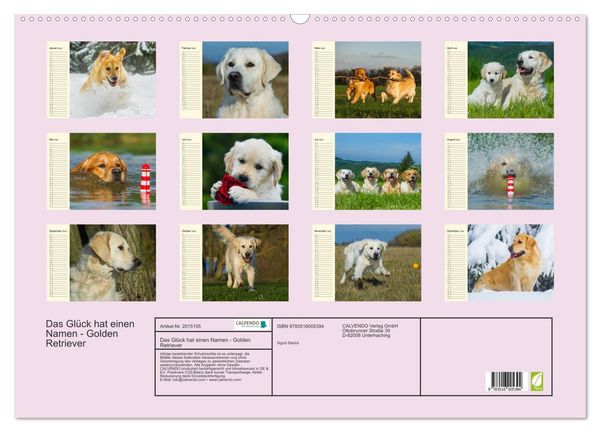 Produktbild: Das Gl&uuml;ck hat einen Namen - Golden Retriever (Wandkalender 2026 DIN A2 quer), CALVENDO Monatskalender