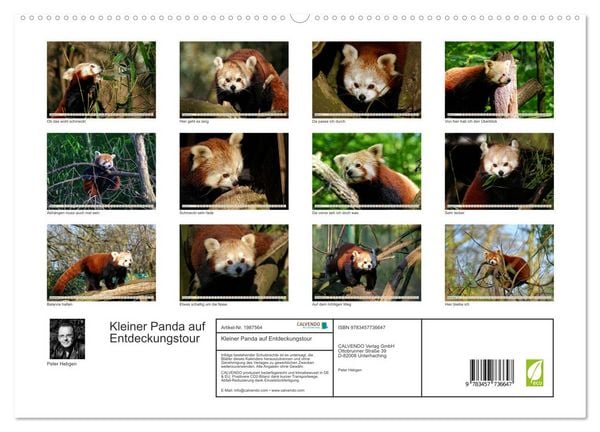 Produktbild: Kleiner Panda auf Entdeckungstour (hochwertiger Premium Wandkalender 2026 DIN A2 quer), Kunstdruck in Hochglanz