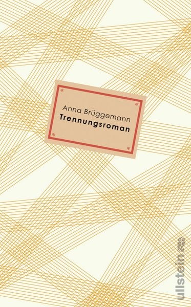 Produktbild: Trennungsroman