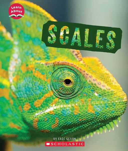 Produktbild: Scales (Learn About: Animal Coverings)