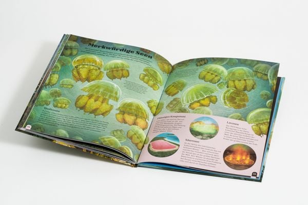 Produktbild: Supermond und Kugelblitz