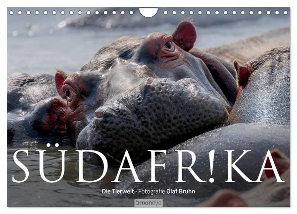 Produktbild: S&uuml;dafrika - Die Tierwelt (Wandkalender 2026 DIN A4 quer), CALVENDO Monatskalender