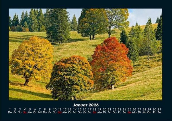 Produktbild: B&auml;ume 2026 Fotokalender DIN A4