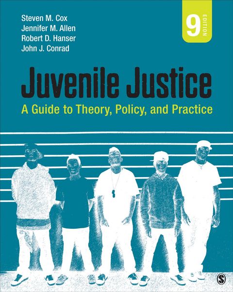 Produktbild: Juvenile Justice 9/e