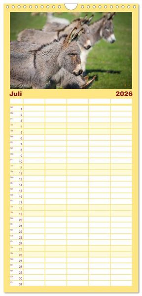 Produktbild: Familienplaner 2026 - Esel - h&uuml;bsch, klug und flei&szlig;ig mit 5 Spalten (Wandkalender, 21 x 45 cm) CALVENDO