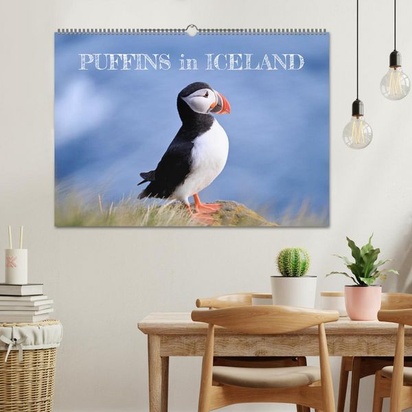 Produktbild: Puffins in Iceland (Wall Calendar 2026 DIN A2 landscape), CALVENDO 12 Month Wall Calendar