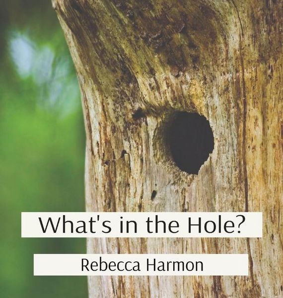 Produktbild: What's in the Hole?