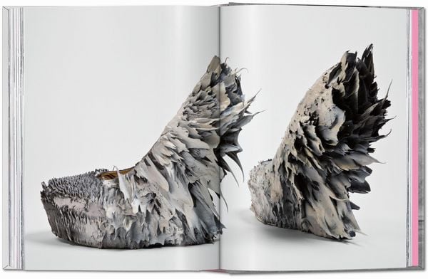 Produktbild: Shoes A&ndash;Z. 45th Ed.