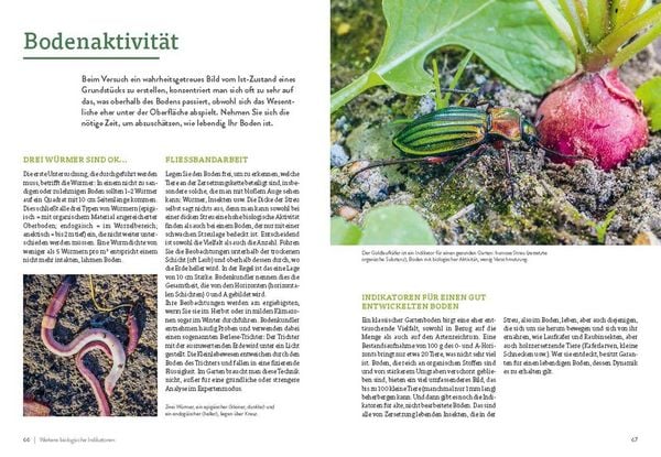 Produktbild: Pflanzengefl&uuml;ster