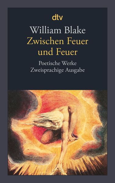 Produktbild: Zwischen Feuer und Feuer