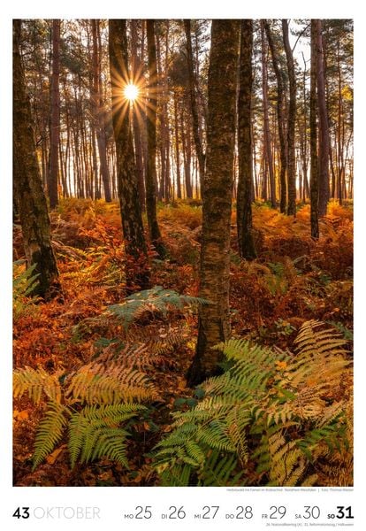 Produktbild: Natur Wochenkalender 2027