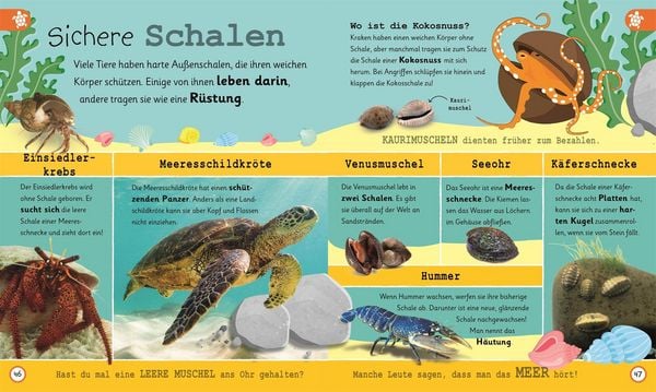 Produktbild: Wissen f&uuml;r Vorschulkids. Was wei&szlig;t du &uuml;ber Ozeane?