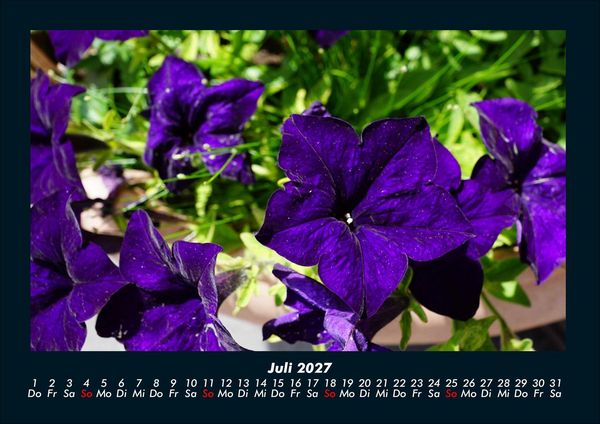 Produktbild: Blumenkalender 2027 Fotokalender DIN A4
