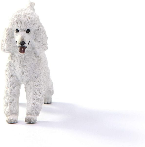 Produktbild: schleich&reg; 13917 Pudel, Hund