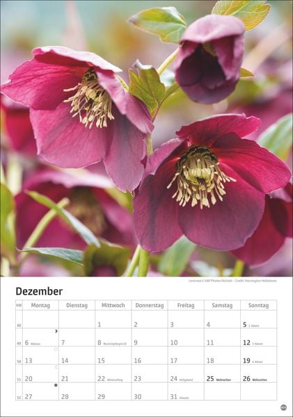 Produktbild: Gartenzauber Kalender 2027