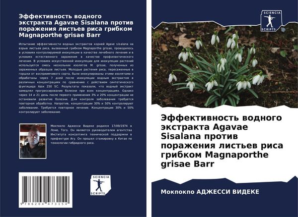 Produktbild: Jeffektiwnost' wodnogo &auml;xtrakta Agavae Sisalana protiw porazheniq list'ew risa gribkom Magnaporthe grisae Barr