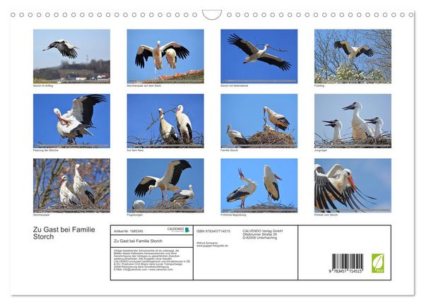Produktbild: Zu Gast bei Familie Storch (Wandkalender 2026 DIN A3 quer), CALVENDO Monatskalender