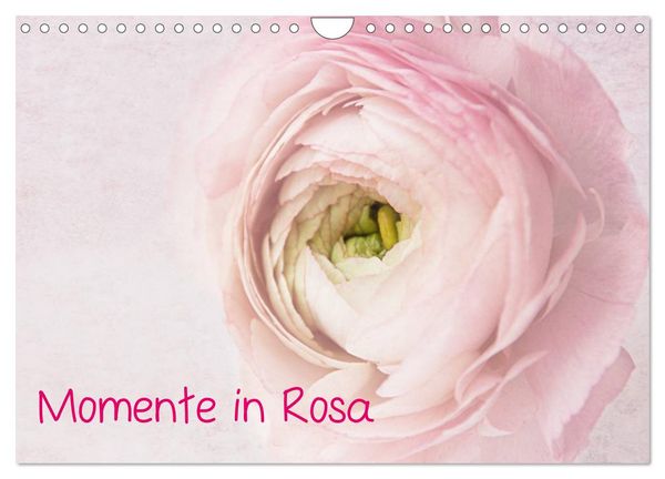 Momente in Rosa (Wandkalender 2026 DIN A4 quer), CALVENDO Monatskalender