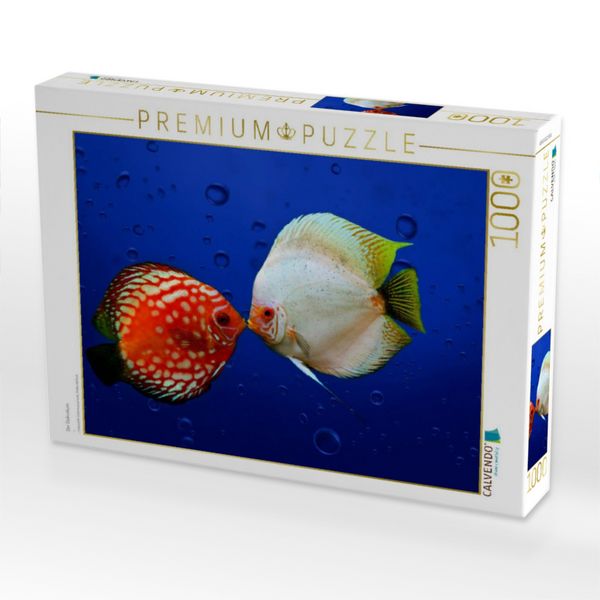 Produktbild: CALVENDO Puzzle Der Diskuskuss | 1000 Teile Lege-Gr&ouml;&szlig;e 64x48cm Foto-Puzzle f&uuml;r gl&uuml;ckliche Stunden