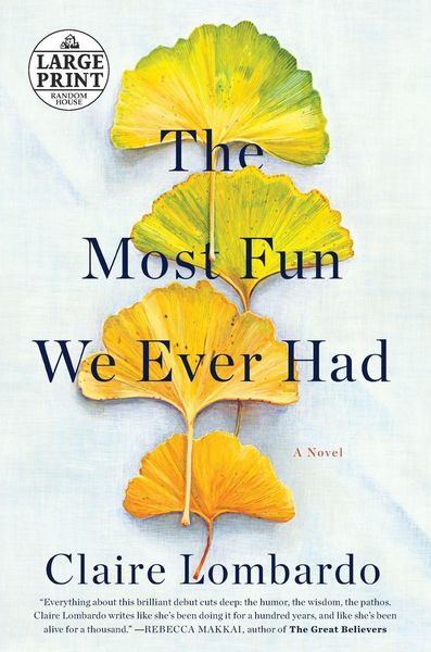 Produktbild: The Most Fun We Ever Had
