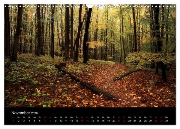 Produktbild: Wundersame Natur in Deutschland (Wandkalender 2026 DIN A3 quer), CALVENDO Monatskalender