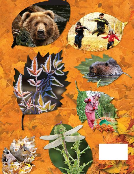Produktbild: Awesome Autumn