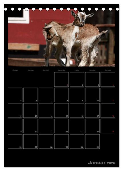 Produktbild: Zwergziegen (Tischkalender 2026 DIN A5 hoch), CALVENDO Monatskalender