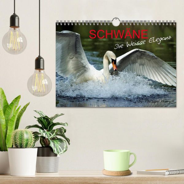 Produktbild: SCHW&Auml;NE. (Wandkalender 2026 DIN A4 quer), CALVENDO Monatskalender