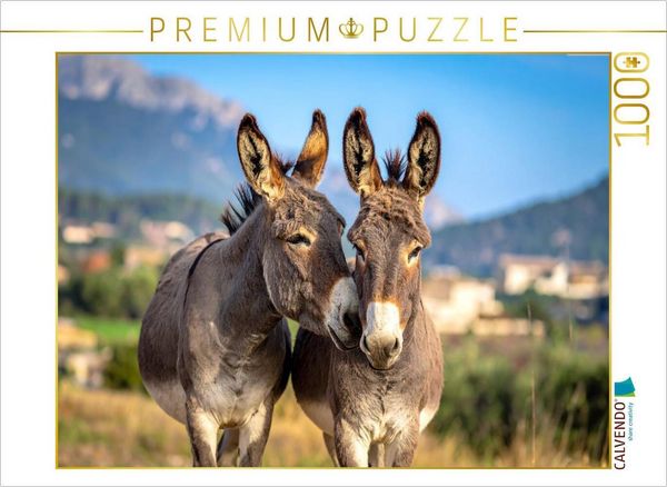 Produktbild: CALVENDO Puzzle Zwei Eselfreunde | 1000 Teile Lege-Gr&ouml;&szlig;e 64x48cm Foto-Puzzle f&uuml;r gl&uuml;ckliche Stunden