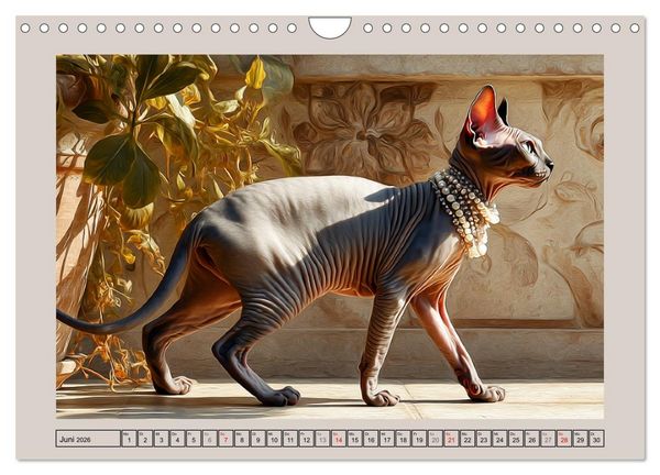 Produktbild: Sphinx Katzen. Eleganz auf leisen Pfoten (Wandkalender 2026 DIN A4 quer), CALVENDO Monatskalender