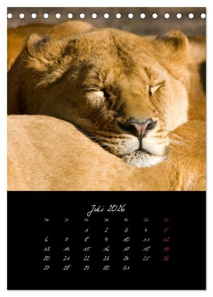 Produktbild: Tiere (Tischkalender 2026 DIN A5 hoch), CALVENDO Monatskalender