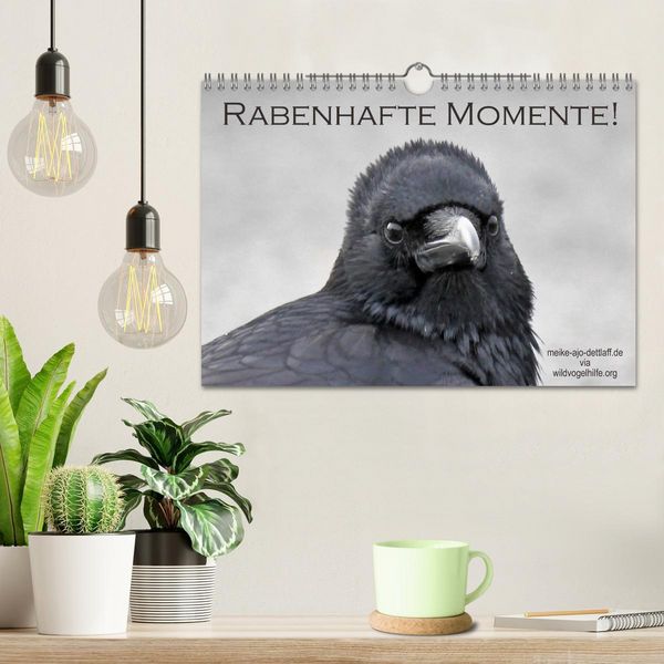 Produktbild: Rabenhafte Momente! (Wandkalender 2026 DIN A4 quer), CALVENDO Monatskalender