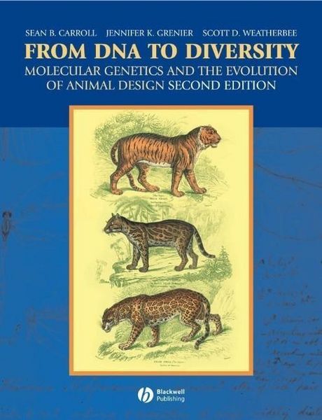Produktbild: From DNA to Diversity