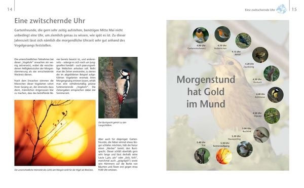 Produktbild: V&ouml;gel zu Gast im Garten - Heimische V&ouml;gel beobachten, bestimmen, sch&uuml;tzen.