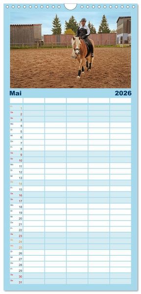 Produktbild: Familienplaner 2026 - Faszination Haflinger mit 5 Spalten (Wandkalender, 21 x 45 cm) CALVENDO