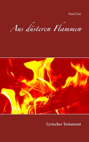Produktbild: Aus d&uuml;steren Flammen
