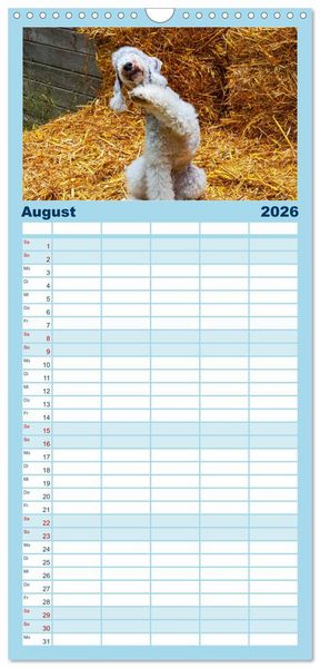 Produktbild: Familienplaner 2026 - Witzige Fellnasen mit 5 Spalten (Wandkalender, 21 x 45 cm) CALVENDO
