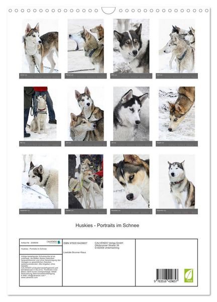 Produktbild: Huskies - Portraits im Schnee (Wandkalender 2026 DIN A3 hoch), CALVENDO Monatskalender